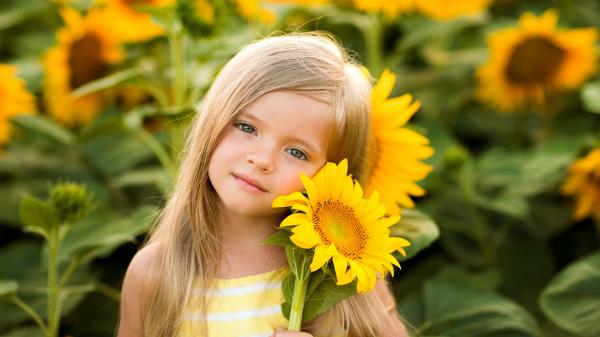 Free blue eyes little cute girl with blonde hair is wearing yellow stripes dress with sunflower in hand in sunflowers background hd cute wallpaper download