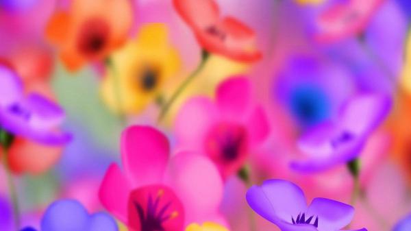 Free blur flowers hd abstract wallpaper download