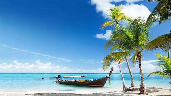 free boat on body of water near coconut trees during sunny time hd beach wallpaper download