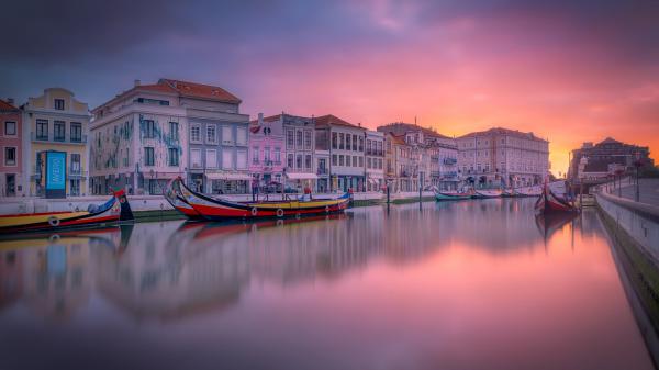 Free boat on river aveiro building canal dawn house portugal hd travel wallpaper download