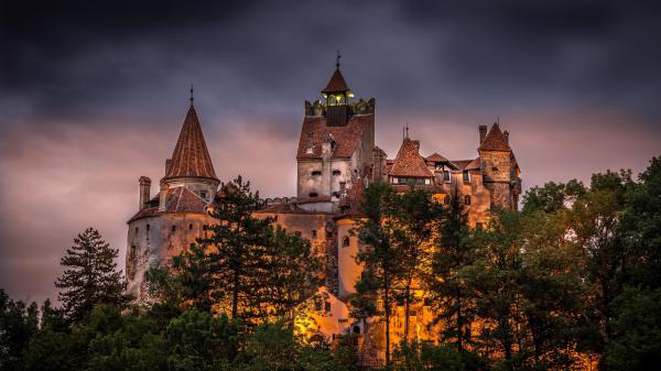 Free bran castle during nighttime in romania 4k hd travel wallpaper download