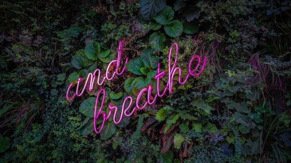 Free breathe neon sign 5k wallpaper download