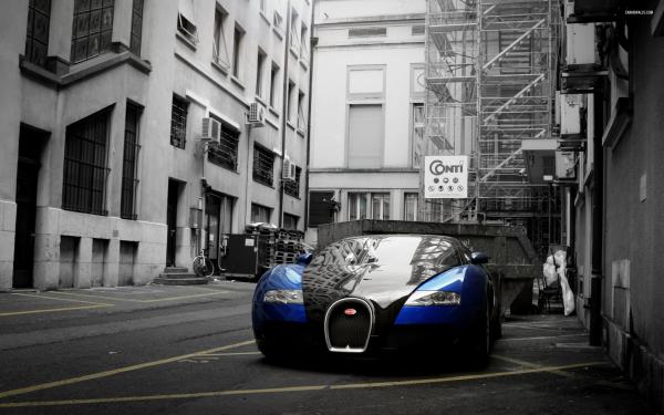 Free bugatti veyron grand sport 2012 wallpaper download