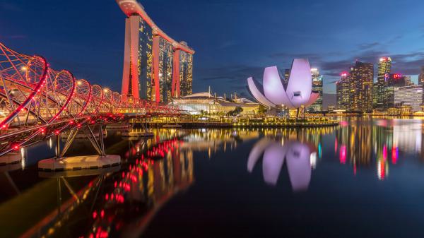 Free building marina bay sands during nighttime with reflection hd travel wallpaper download