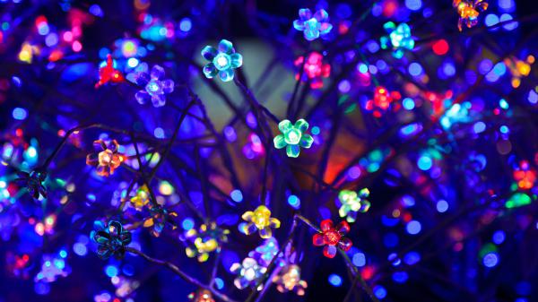 Free bulbs flowers neon light lighting glare bokeh colorful 4k hd wallpaper download