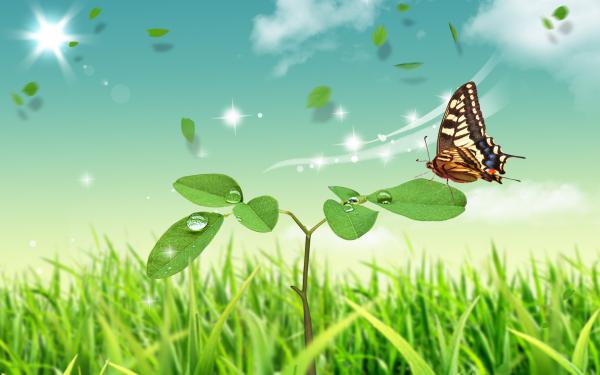 Free butterfly world wallpaper download