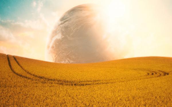 Free campo aberto fields planet wallpaper download