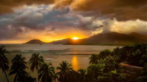 Free caribbean sea with palm tree under cloudy sky during sunset hd travel wallpaper download