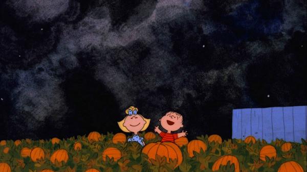 Free cartoons with pumpkins under dark sky hd thanksgiving wallpaper download