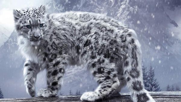 Free cheetah with background of mountain and snow falling hd animals wallpaper download