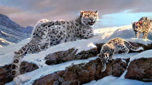 Free cheetah with small cheetahs 4k hd animals wallpaper download