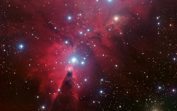 Free christmas tree cluster cone nebula 4k 8k wallpaper download