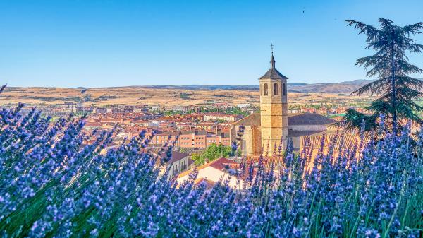 Free church bell tower building with lavender panorama spain 4k hd travel wallpaper download