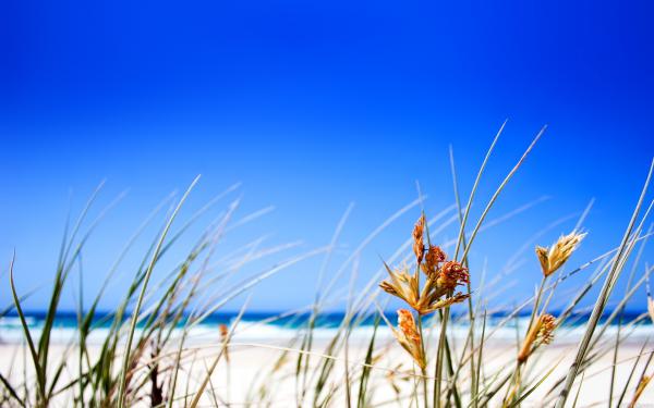 free clear beach sky wallpaper download