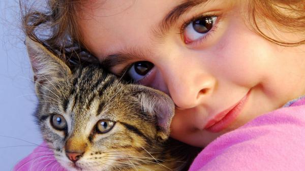 Free closeup photo of cute little girl is wearing pink dress holding kitten hd cute wallpaper download