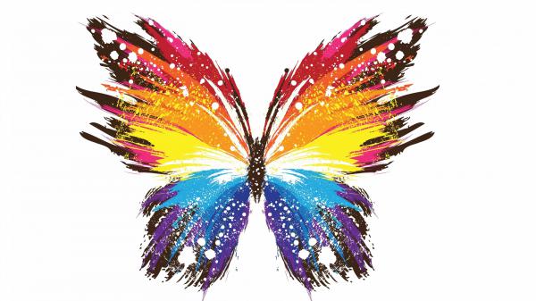 Free colorful butterfly in white background 4k hd abstract wallpaper download