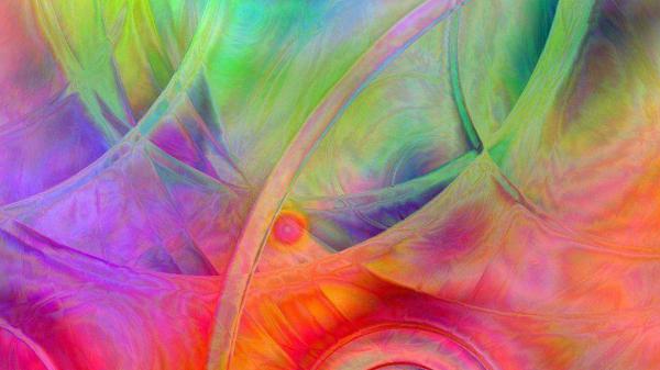 Free colorful fractal art hd abstract wallpaper download