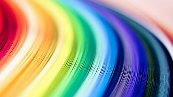 Free colorful macro wallpaper download