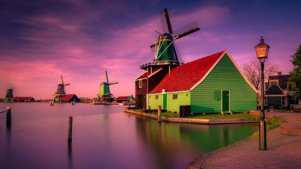 Free colorful village home netherlands 4k 5k hd wallpaper download