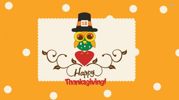 Free colourful owl bird with black hat hd thanksgiving wallpaper download