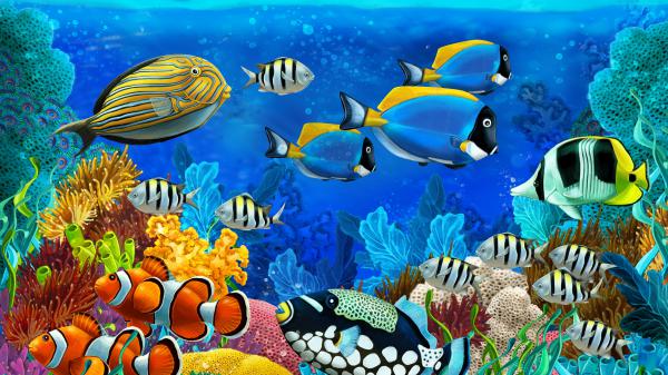 Free coral fishs in deep ocean 4k 8k hd animals wallpaper download