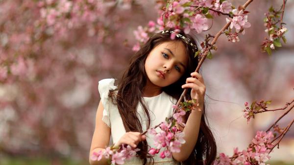 Free cute ash eyes little girl is touching blossom branch pink flower wearing white dress in blur flowers background hd cute wallpaper download