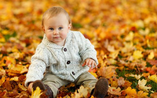 Free cute baby boy autumn leaves wallpaper download