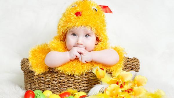 Free cute baby boy inside bamboo basket having hands on mouth wearing yellow chicken costume hd cute wallpaper download