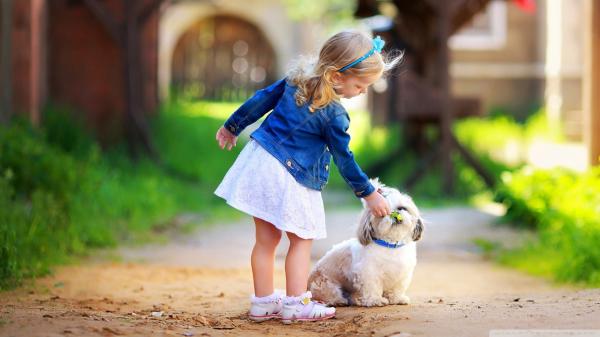 Free cute baby girl is playing with white puppy wearing white dress with blue coat in blur background hd cute wallpaper download