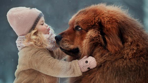 Free cute baby girl is wearing light brown woolen dress and cap standing near big dog in snowy background hd cute wallpaper download