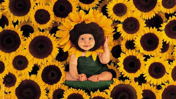 Free cute baby in the middle of sunflower wearing green dress with flower headband hd cute wallpaper download