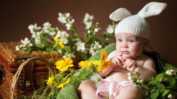 Free cute baby is sitting inside flower covered bamboo basket wearing woolen teddy bear cap with flowers in hand 4k hd cute wallpaper download