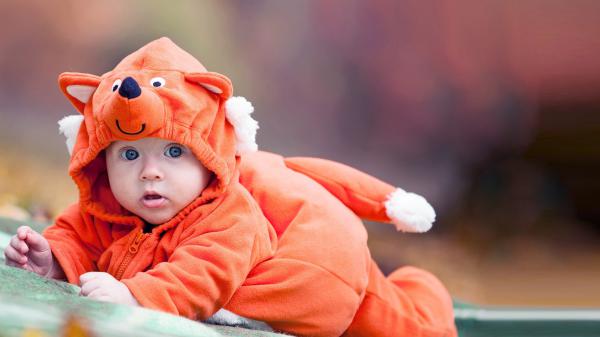 Free cute baby is wearing orange animal dress lying down on floor in blur background hd cute wallpaper download