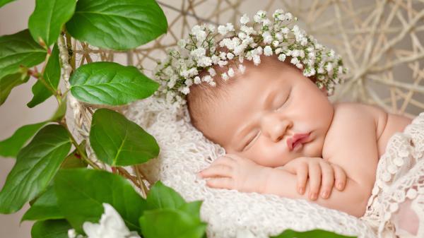 Free cute baby sleeping 2 4k hd cute wallpaper download