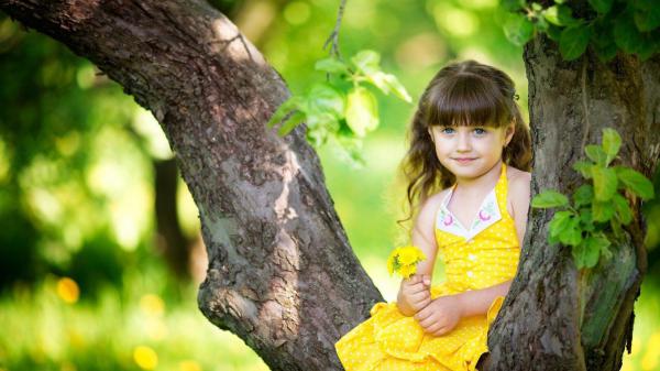 Free cute blue eyes baby is sitting between the trunk of tree wearing yellow dress during daytime having flower in hand hd cute wallpaper download