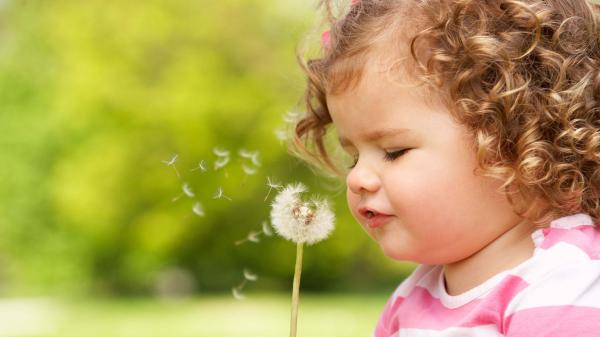 Free cute girl baby is playing with dandelion wearing pink dress in blur green background 4k hd cute wallpaper download