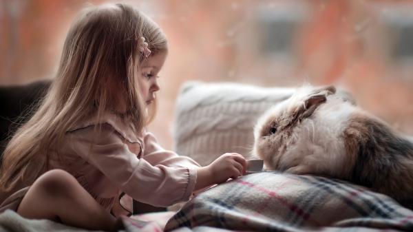 Free cute girl playing with rabbit wallpaper download