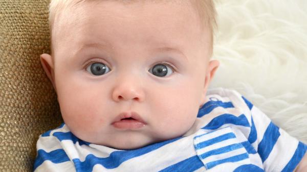 Free cute little baby is staring at the camera wearing white and blue striped tshirt hd cute wallpaper download