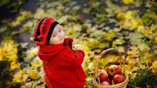 Free cute little boy is looking back wearing red woolen knitted dress having apple in hand hd cute wallpaper download