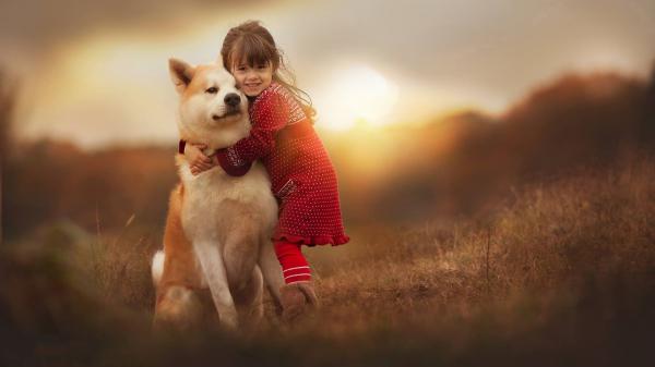 Free cute little girl is hugging dog wearing red dress in sunset background hd cute wallpaper download