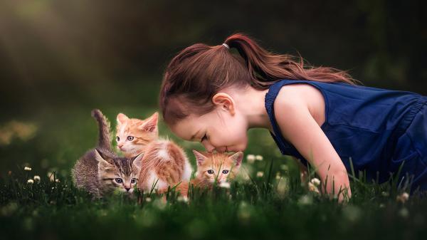 Free cute little girl is lying down on green grass and kissing kittens wearing blue dress hd cute wallpaper download