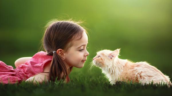 Free cute little girl is playing with cat on green grass wearing red dress in green background hd cute wallpaper download