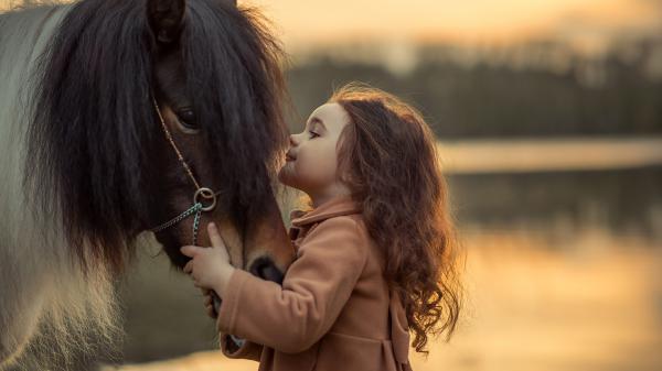 Free cute little girl is playing with horse wearing brown dress in blur background hd cute wallpaper download