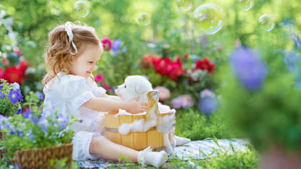 Free cute little girl is playing with puppy wearing white dress in green bubbles background hd cute wallpaper download