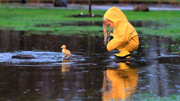 Free cute little girl is playing with yellow duck wearing yellow raincoat 4k hd cute wallpaper download