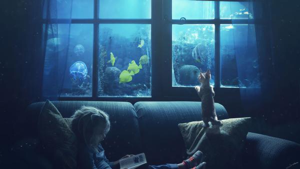 Free cute little girl is reading book and cat watching fishes in aquarium 4k hd cute wallpaper download