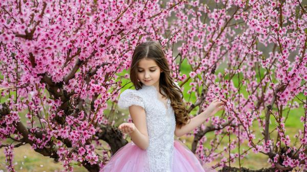 Free cute little girl is standing between cherry blossom pink flower trees wearing pink white dress 4k hd cute wallpaper download