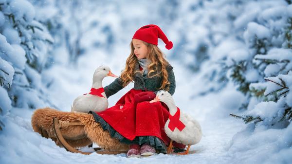 Free cute little girl is wearing santa claus dress and cap sitting with goose in snow background hd cute wallpaper download