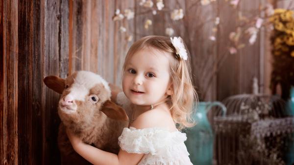 Free cute little girl is wearing white dress playing with calf hd cute wallpaper download