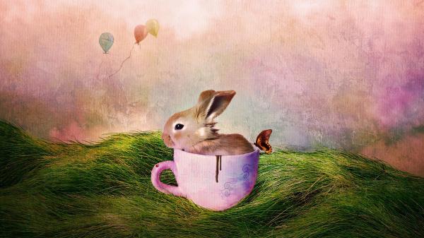 Free cute rabbit inside cup beside butterfly on green grass in a colorful background hd animals wallpaper download